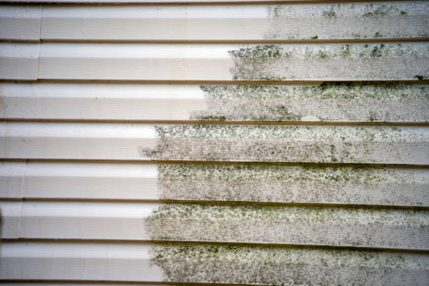  Lockport Heights, LA Siding Installation Pros